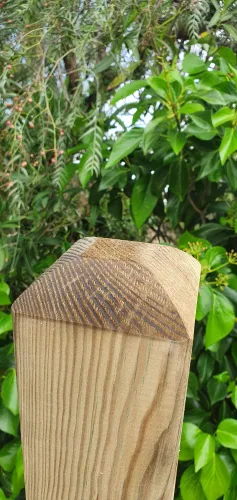 POSTE CUADRADO CABEZA REDONDEADA 210 X 9 X 9 CM