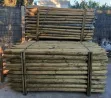 PALET POSTES 2 MTS Ø 6/8 CM CON PUNTA