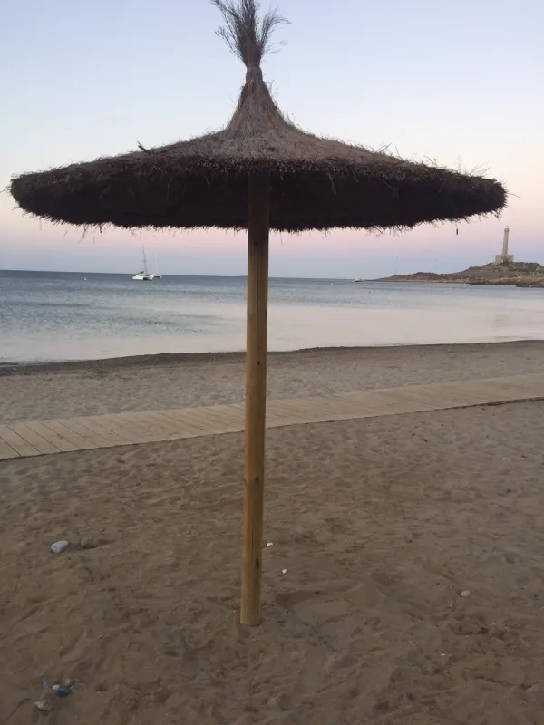 SOMBRILLA  BREZO  CON  ARO
