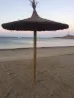 SOMBRILLA  BREZO  CON  ARO