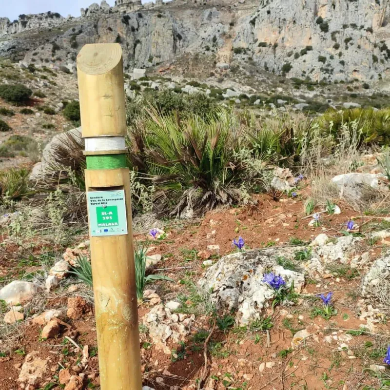 BALIZA DE SEÑALIZACIÓN
