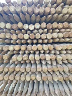 Tutores de Madera para Árboles, Olivos y Plantaciones