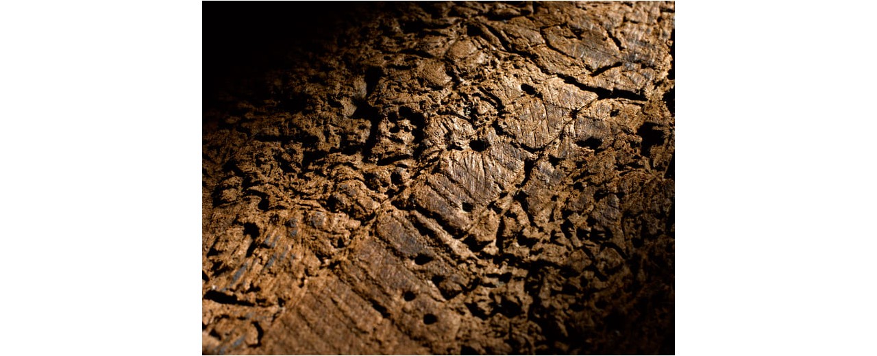 Cómo Eliminar la Carcoma en la Madera