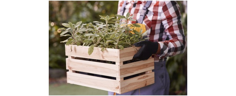 Cómo Hacer una Jardinera de Madera