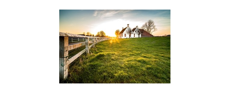 Cierre de Fincas con Postes de Madera