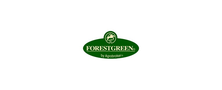 Catálogo de Forestgreen, nueva imagen de marca